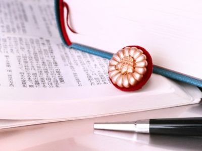 Business Overview（事業内容）のイメージ